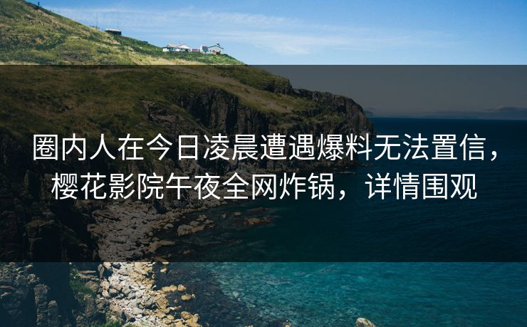 圈内人在今日凌晨遭遇爆料无法置信，樱花影院午夜全网炸锅，详情围观