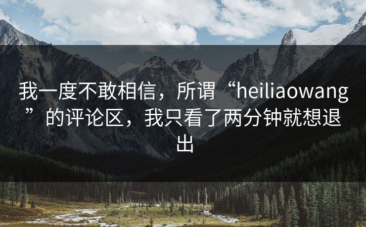 我一度不敢相信，所谓“heiliaowang”的评论区，我只看了两分钟就想退出